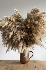 Decorative Natural 7 Piece Pampas - Swordslife