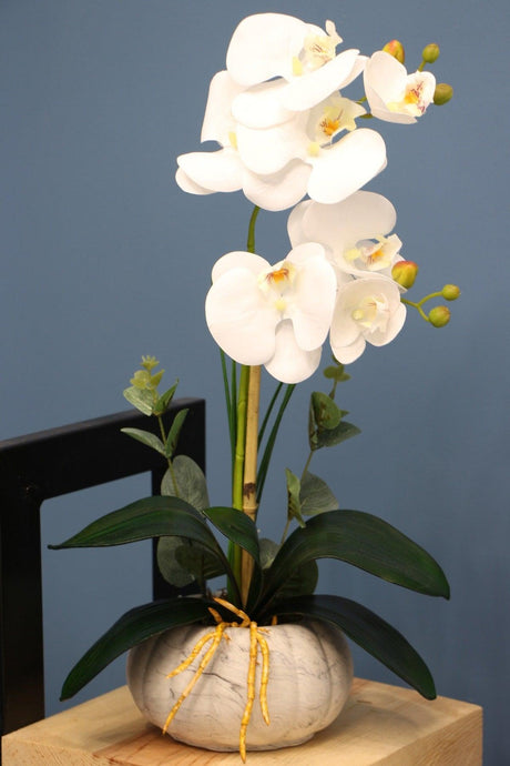 Decorative 2 Mini Artificial Wet Orchid Arrangement White 45 Cm - Swordslife