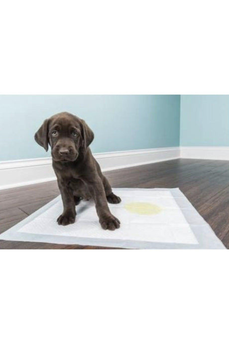 Dog Pee Pad 60x90 (30pcs)