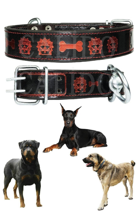 Double Layer Leather Dog Collar Rottweiler