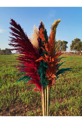 Dried Flower Shocked Pampas - Swordslife