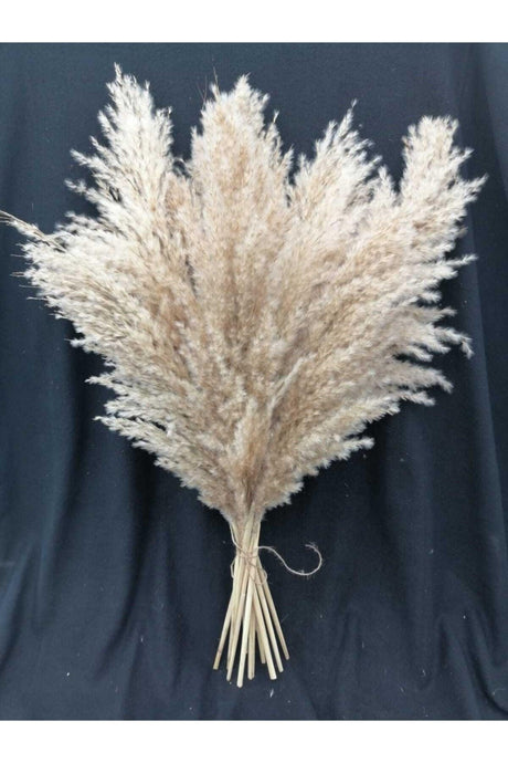 Dried Flower Decorative Pampas Large Bunch of 8 - Swordslife
