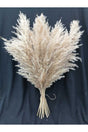Dried Flower Decorative Pampas Large Bunch of 8 - Swordslife