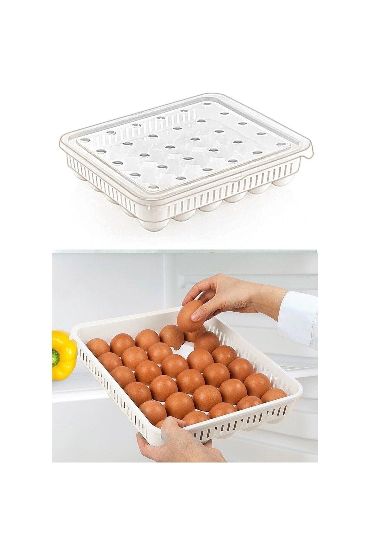 Egg Storage Container 30 Pcs, 1 Piece, Sterile Egg Cup, Egg Organizer with Lid - Swordslife