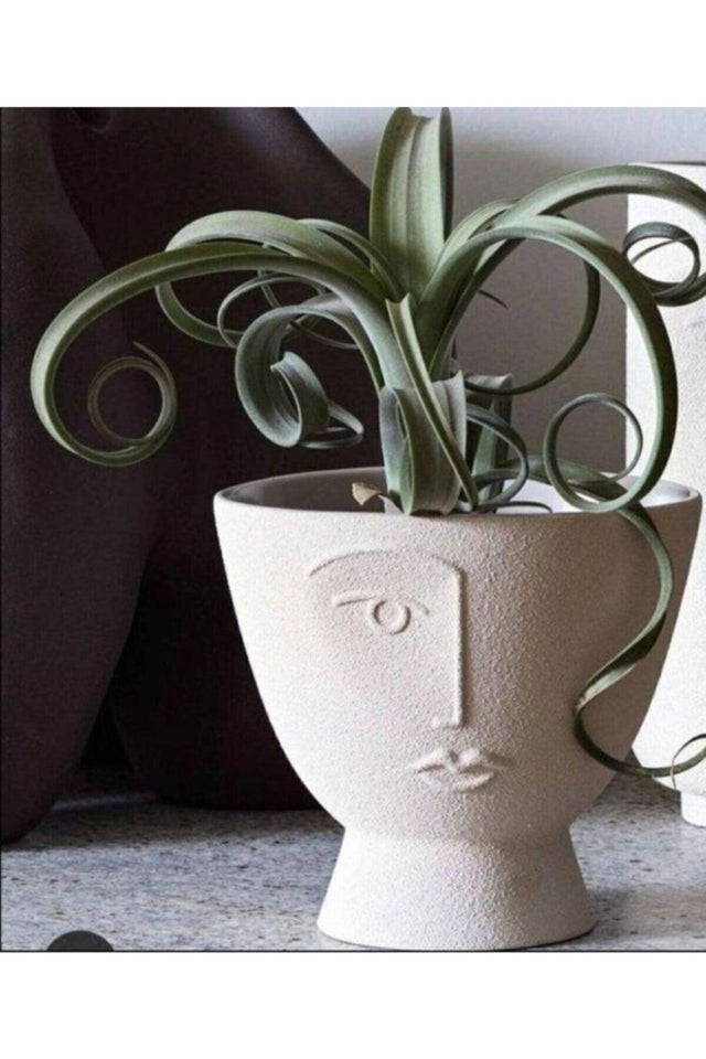 Handmade Concrete Flower Pot Human Face, Modern Vase, Flower Pot - Swordslife