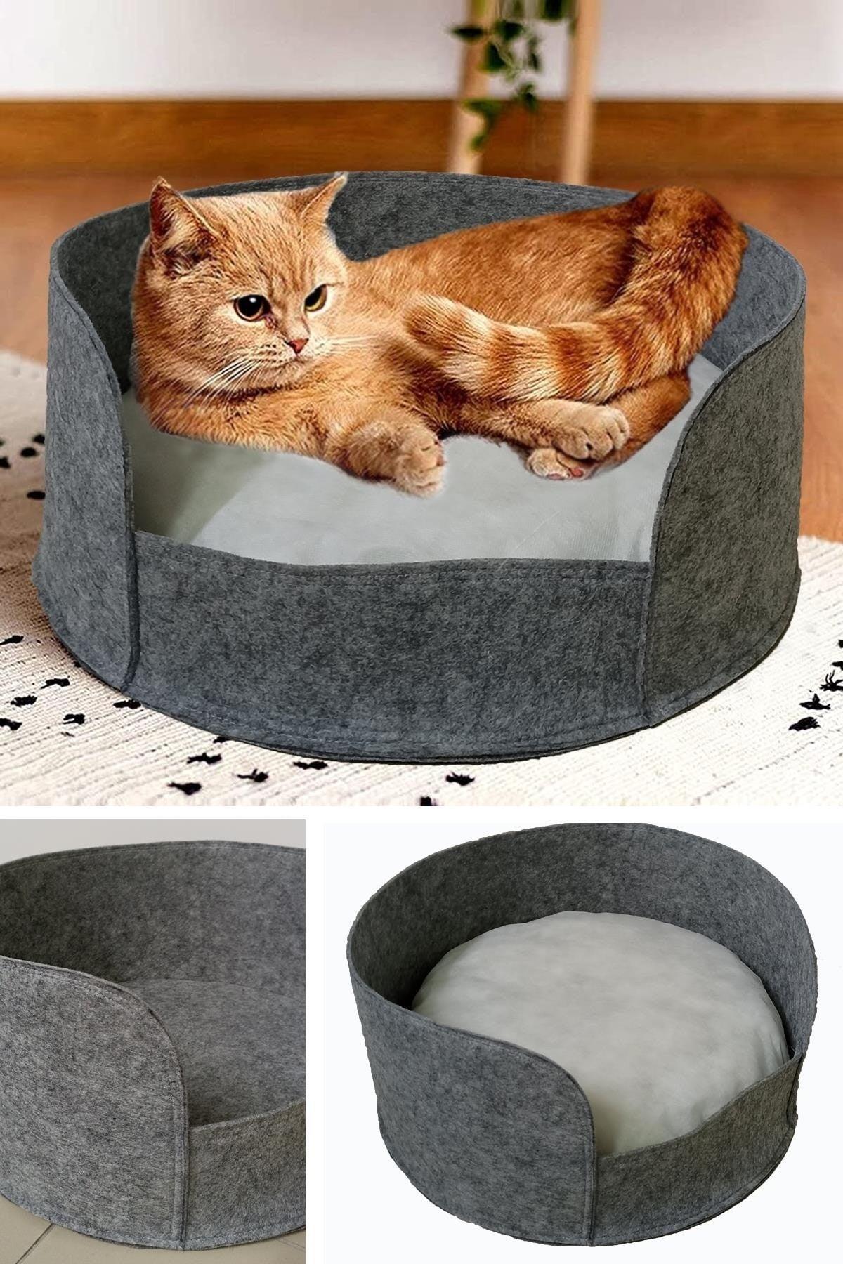 Felt Body Cat Bed with Cushion Cat Dog