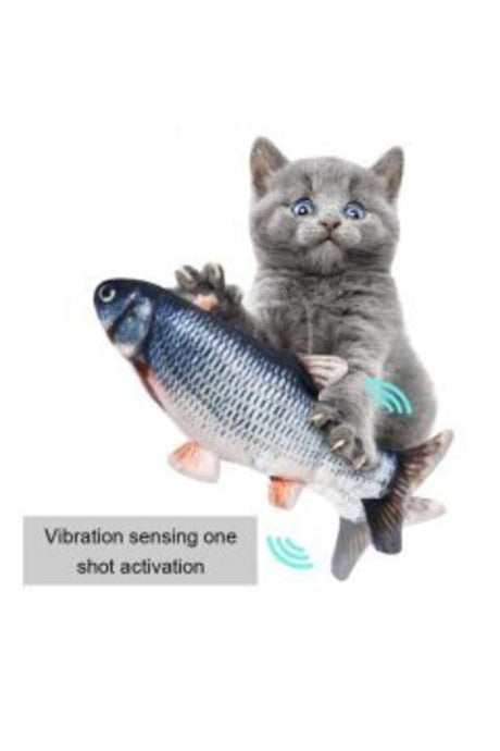 Fish Cat Toy