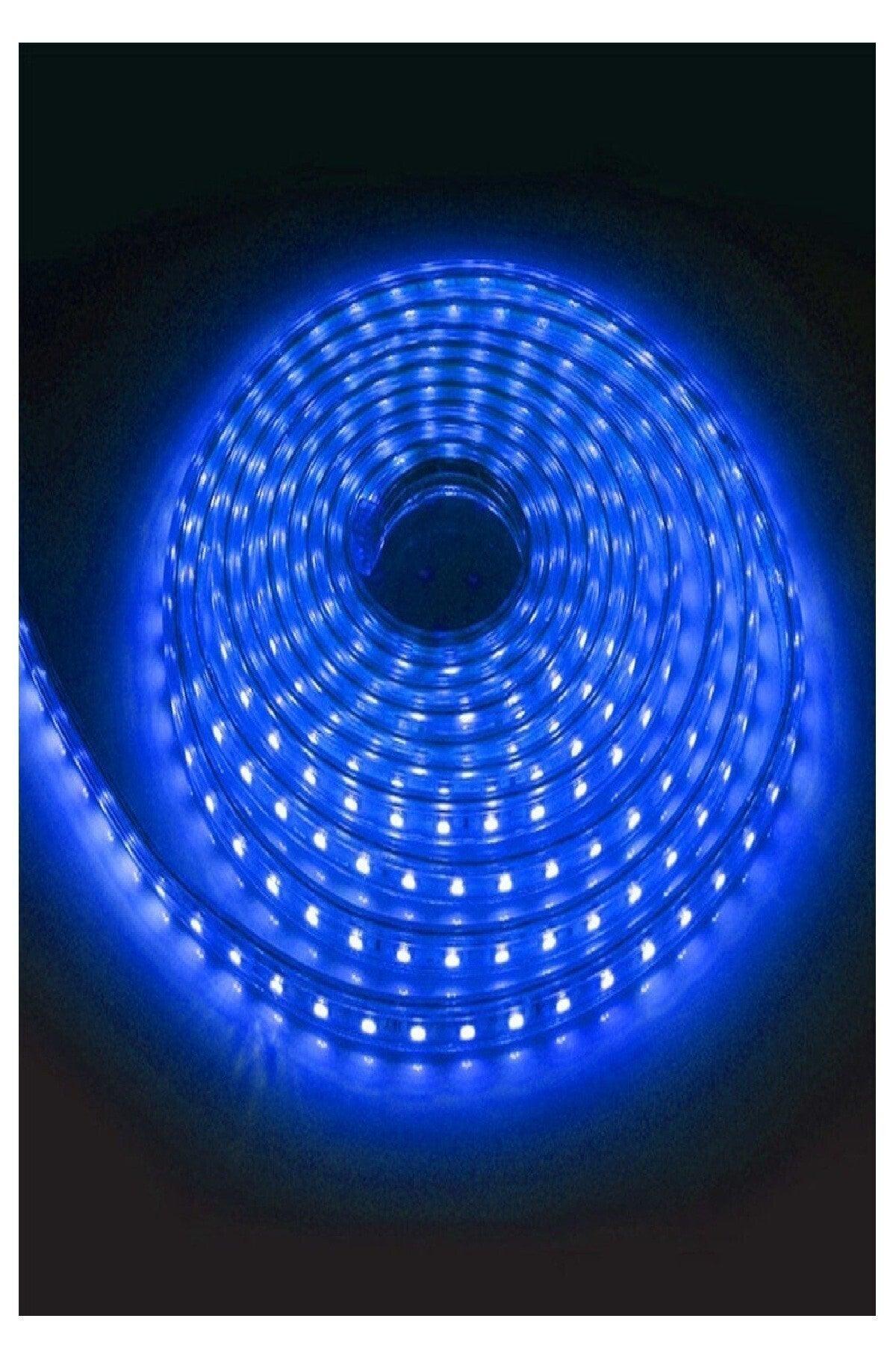 Flexible Strip Blue Hose Strip Led Light 220