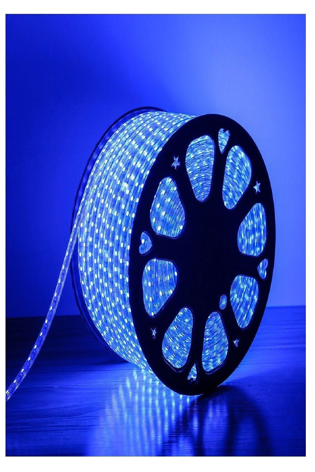 Flexible Strip Hose Strip Led Light - 220