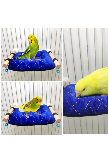 Hot Napping And Listening To Budgie