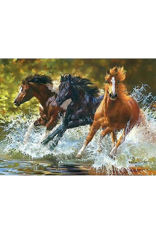 Galloping Color by Number Set 40x50 Cm