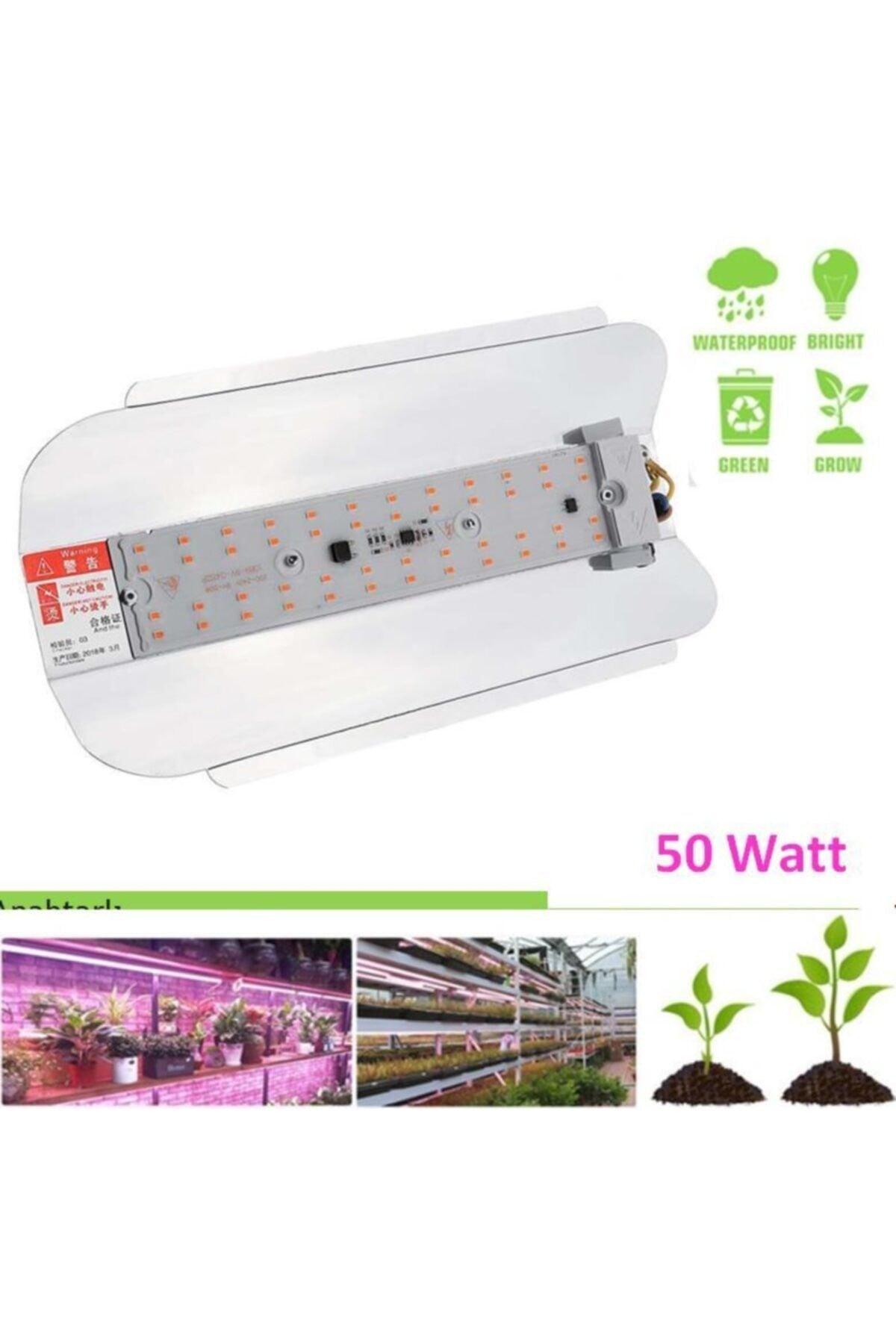 Full Spectrum Phyto Plant Grow Led Light 50w