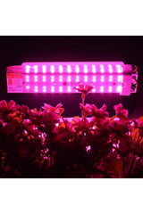 Full Spectrum Phyto Plant Grow Led Light 50w