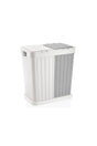 Gray Double Compartment Automatic Lid Dirty Laundry Basket - Swordslife