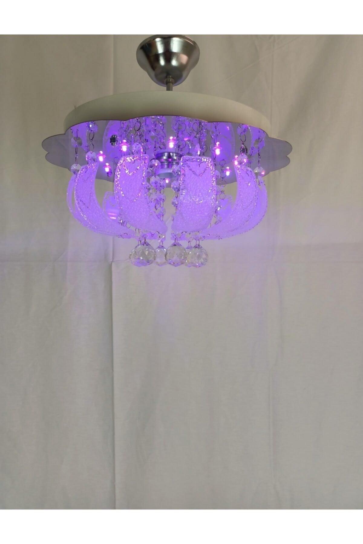 Rose Led Controlled Chandelier - Swordslife