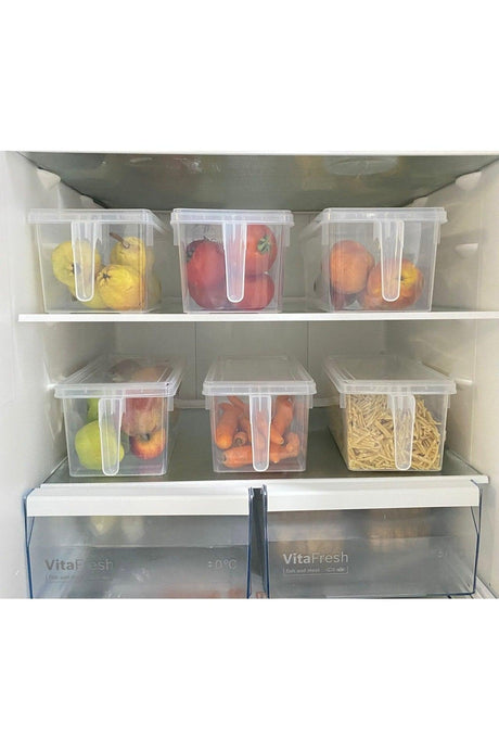 Handled Storage Container-organizer