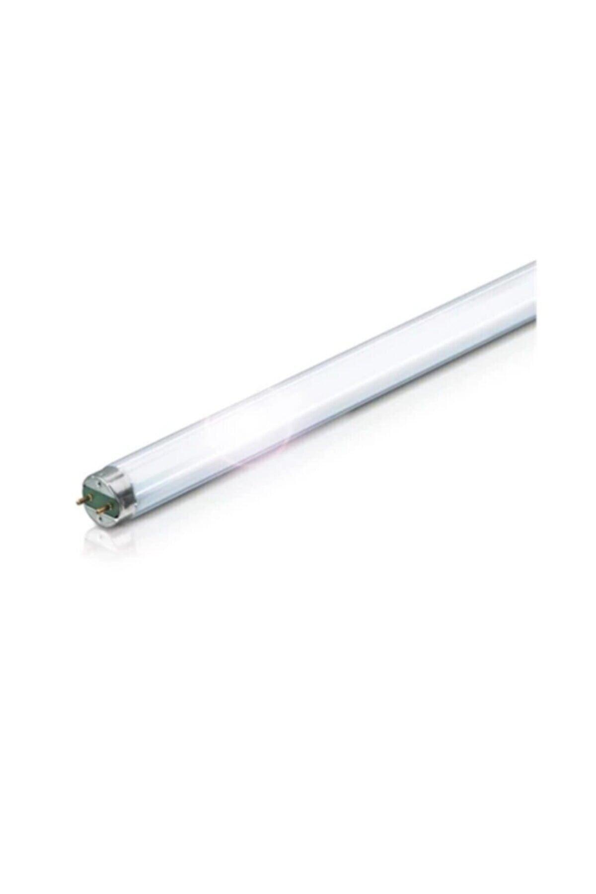 He 21w 840 T5 Fluorescent Bulb 20pcs