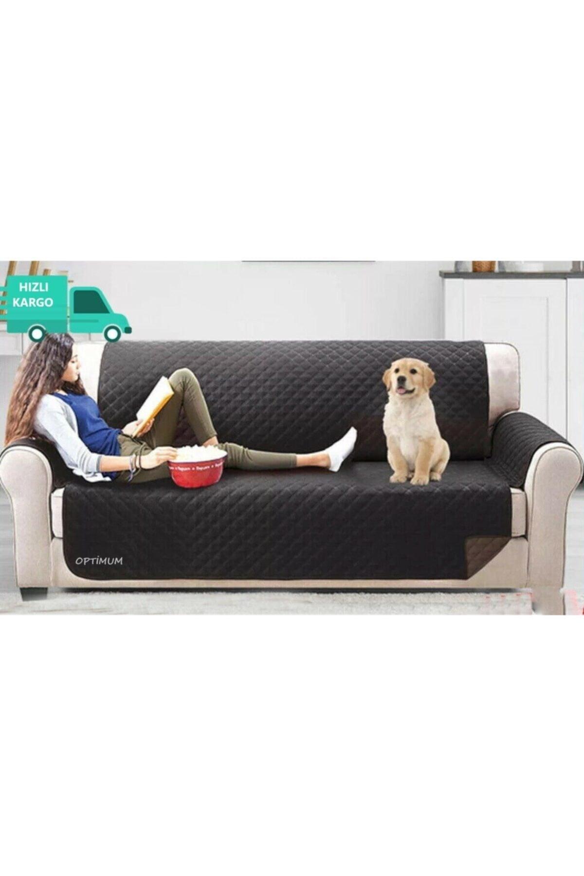 Sofa Sofa Sofa Bed Cover Liquid Waterproof Pet Cover Baby Kids Cat Dog Cover Cover - Swordslife