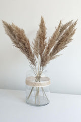 Dried Flower Pampas Small 7 Bunch 50 Cm (natural) - Swordslife