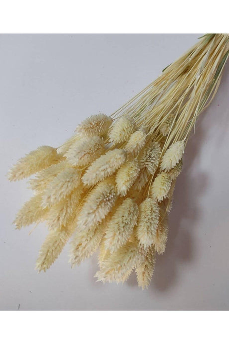 Dried Flower Phala Ris Bird Grass Bunch 20 Grains - Swordslife