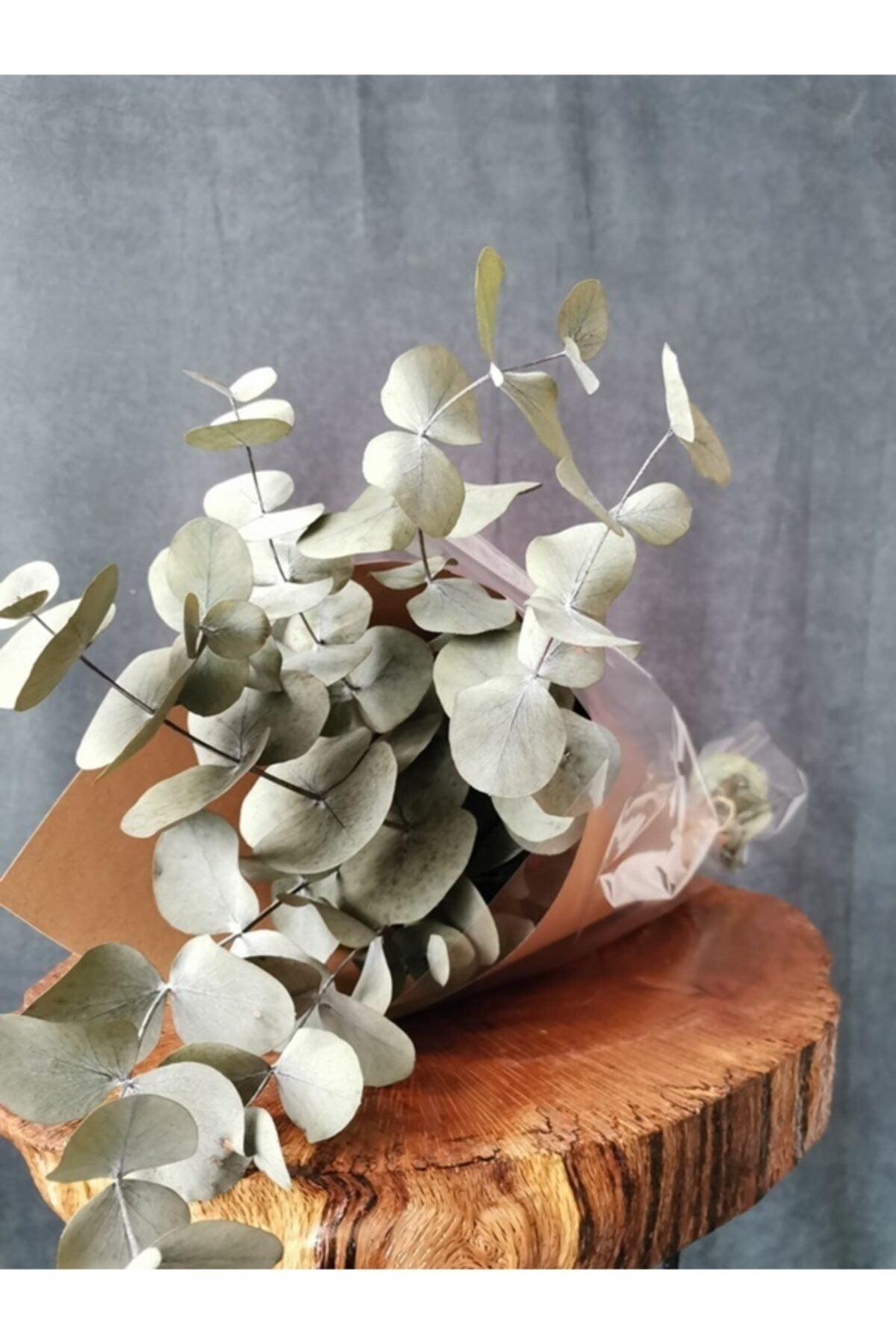 Dried Flower Shocked Eucalyptus Bunch Green (50 cm) - Swordslife