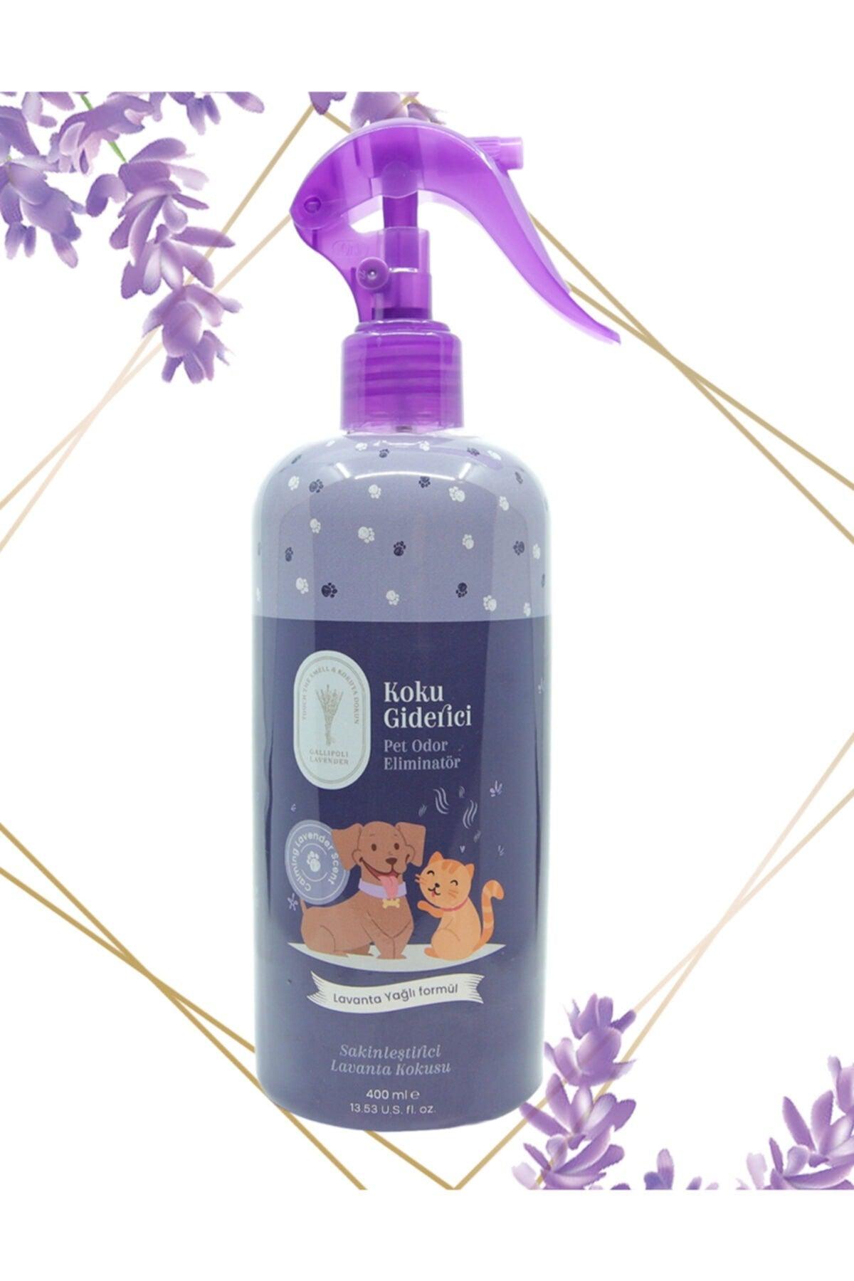 Lavender Pet ( Cat