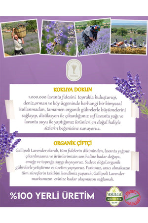 Lavender Pet ( Cat