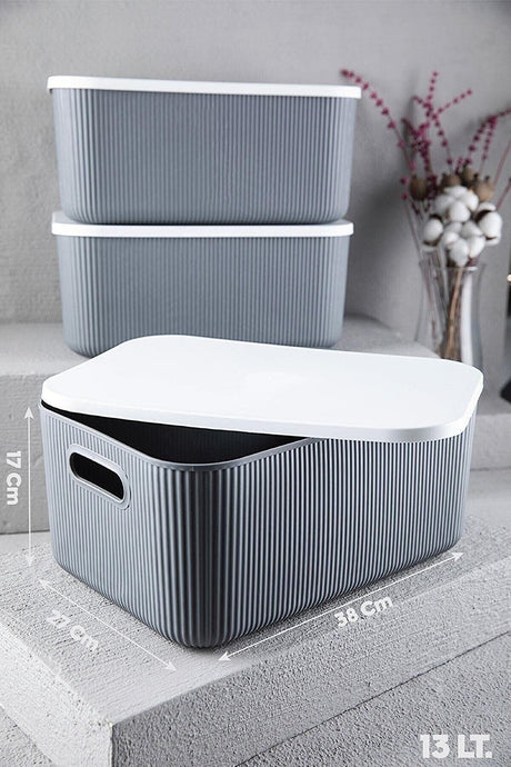 Lova Shell 13 Lt Gray Decorative Multifunctional Storage Box - Swordslife