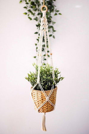 Macrame Flowerpot Flowerpot Handcrafted Flowerpot Flowerpot - Swordslife