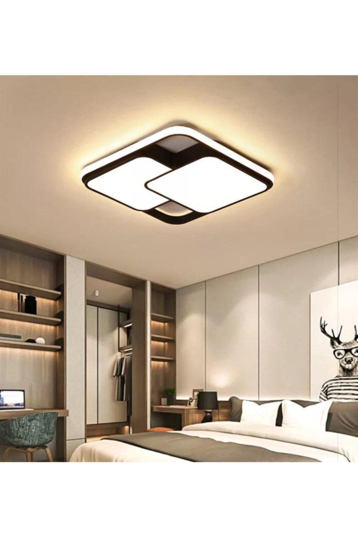 Modern Stylish Plafonyer Led Chandelier - Swordslife