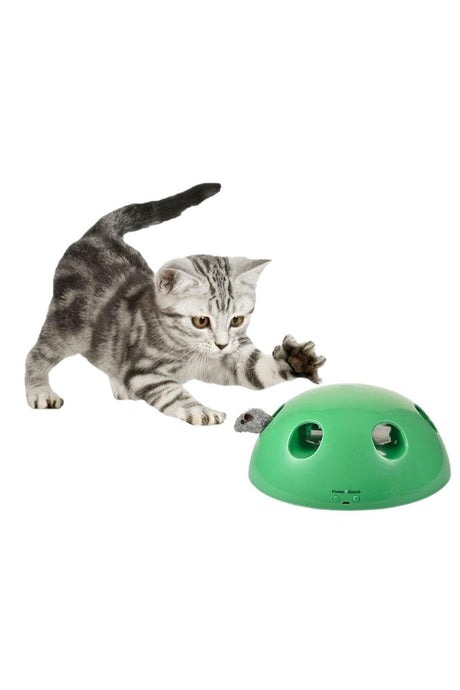 Cat Mouse Catching Toy with Mouse Sound Battery