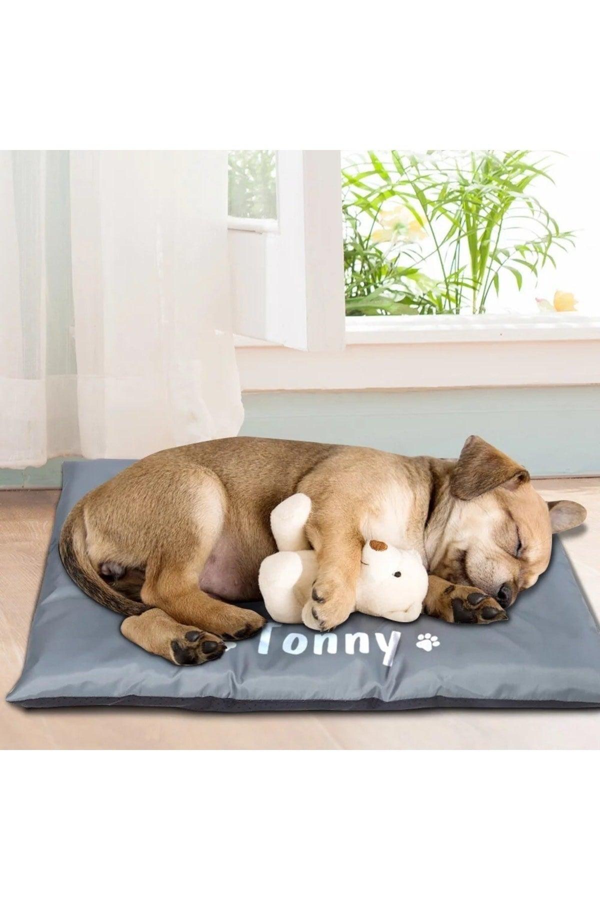 Name Special Cat And Dog Bed With Zipper