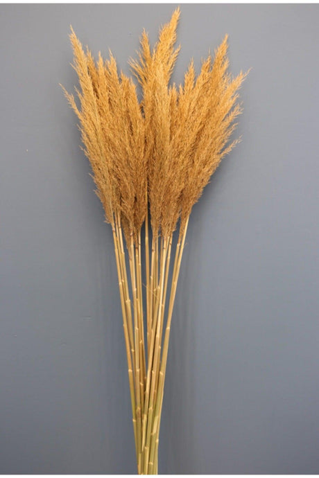 Natural Dried Flower Pampas 45 Pieces - Swordslife