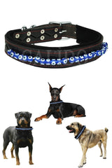 Evil Eye Beaded Leash Kangal Belgium German