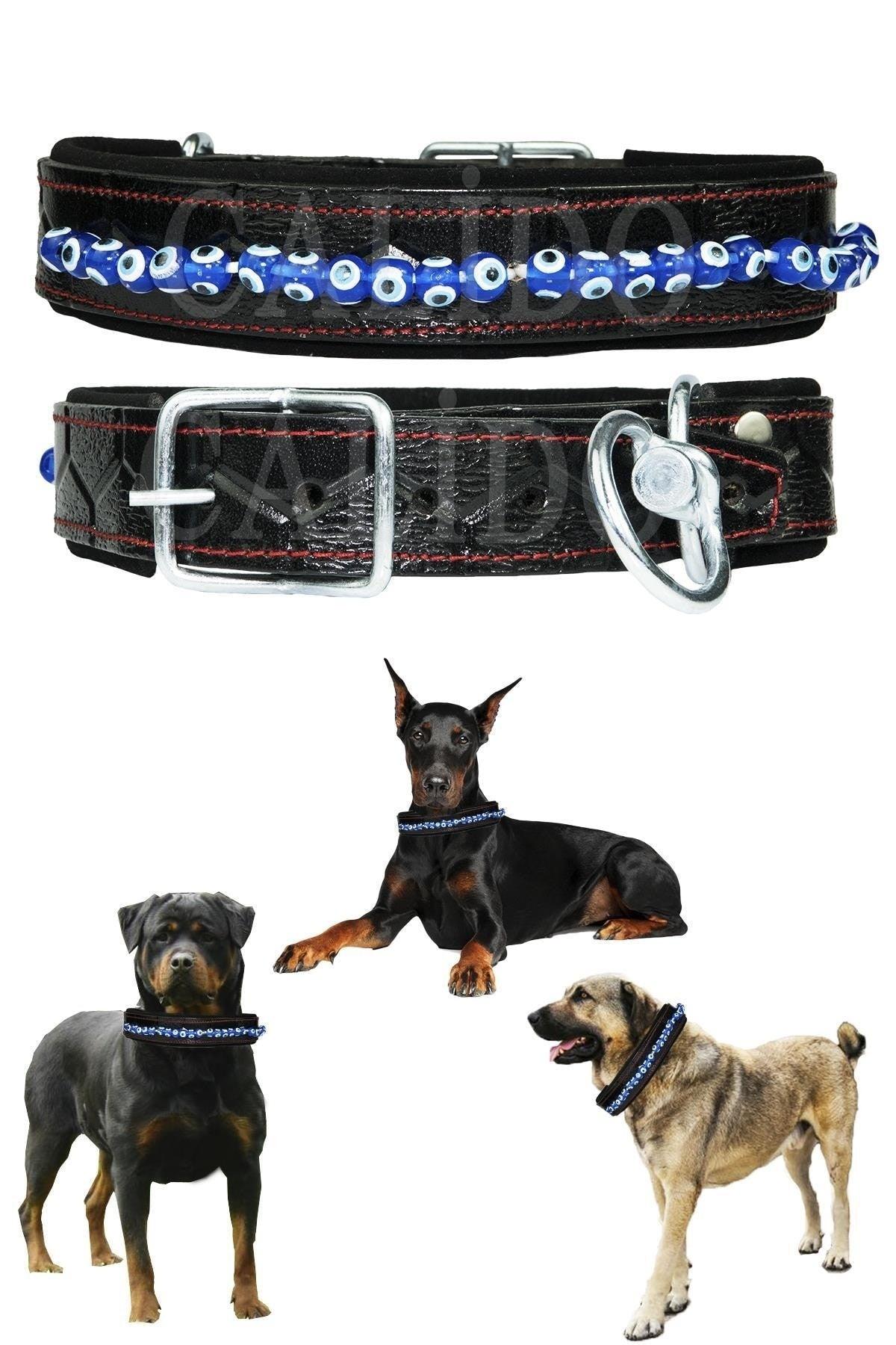 Evil Eye Beaded Leash Kangal Belgium German