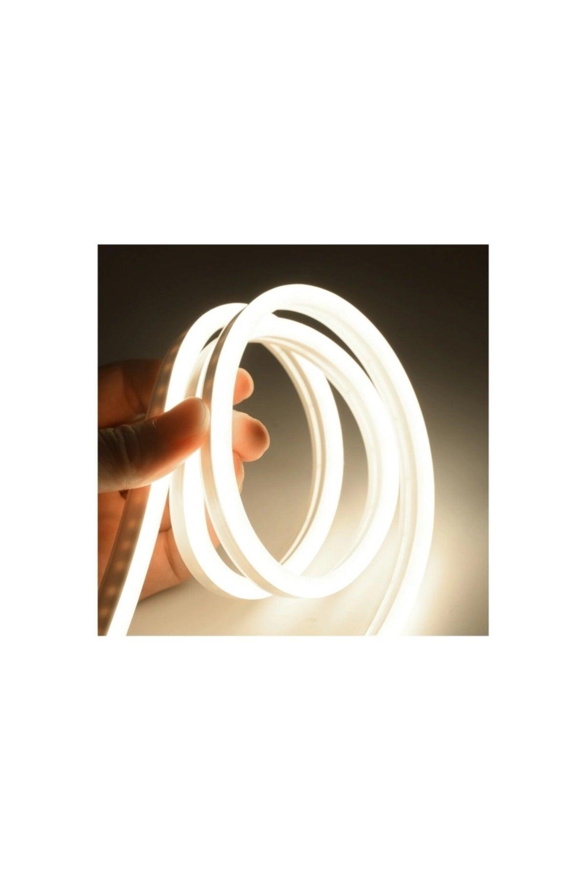 Neon Flexible Led Strip 20 Meters Daylight + 220