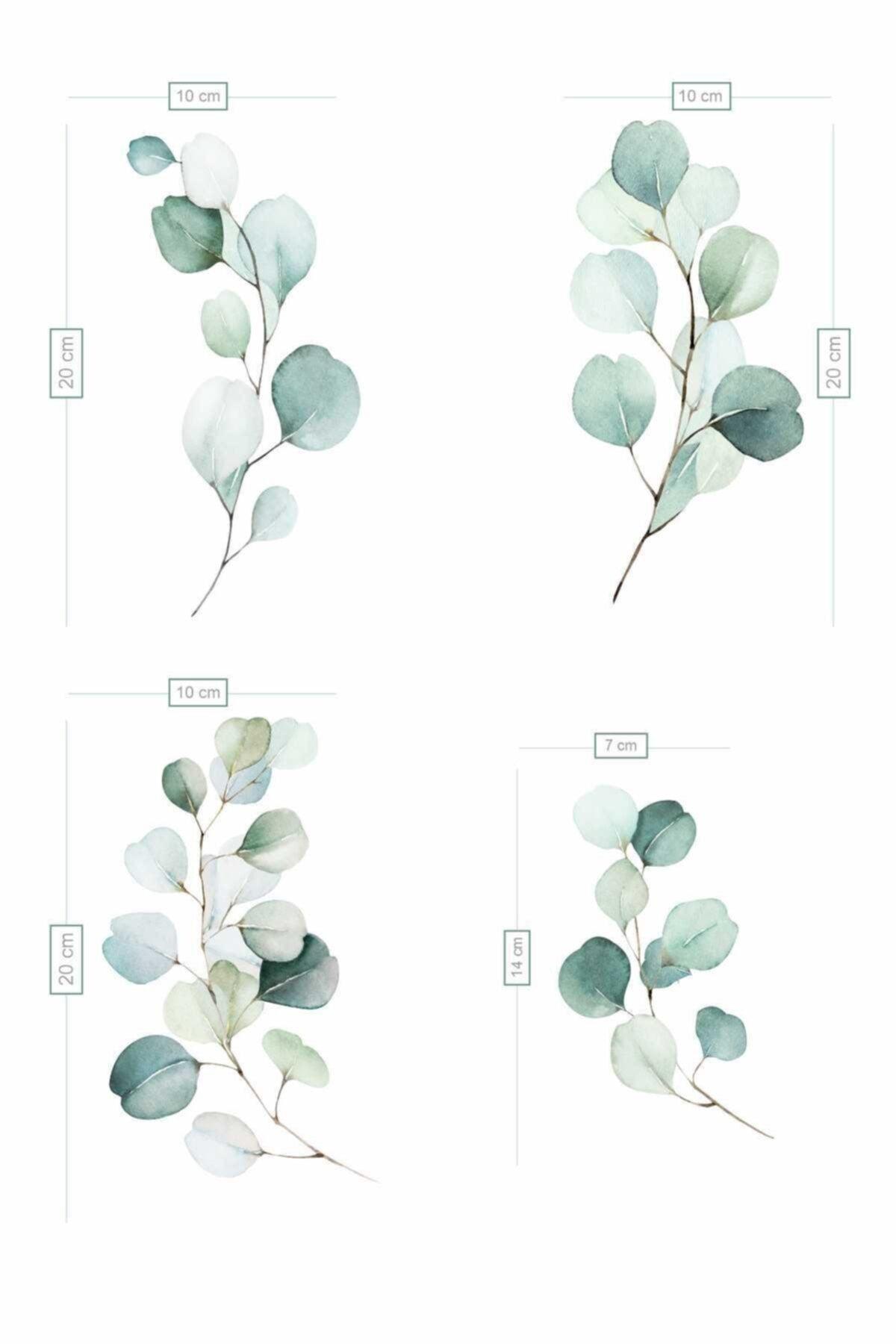 Eucalyptus Leaf Sticker - Swordslife