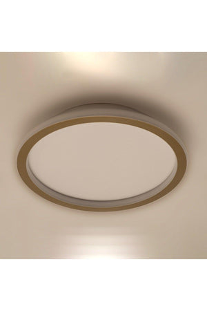 Plafonia Samsung Led Indoor & Outdoor High Light Ceiling Type Led Chandelier Diameter 40cm - Swordslife