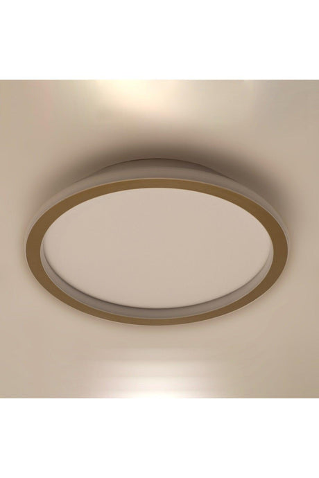 Plafonia Samsung Led Indoor & Outdoor High Light Ceiling Type Led Chandelier Diameter 40cm - Swordslife