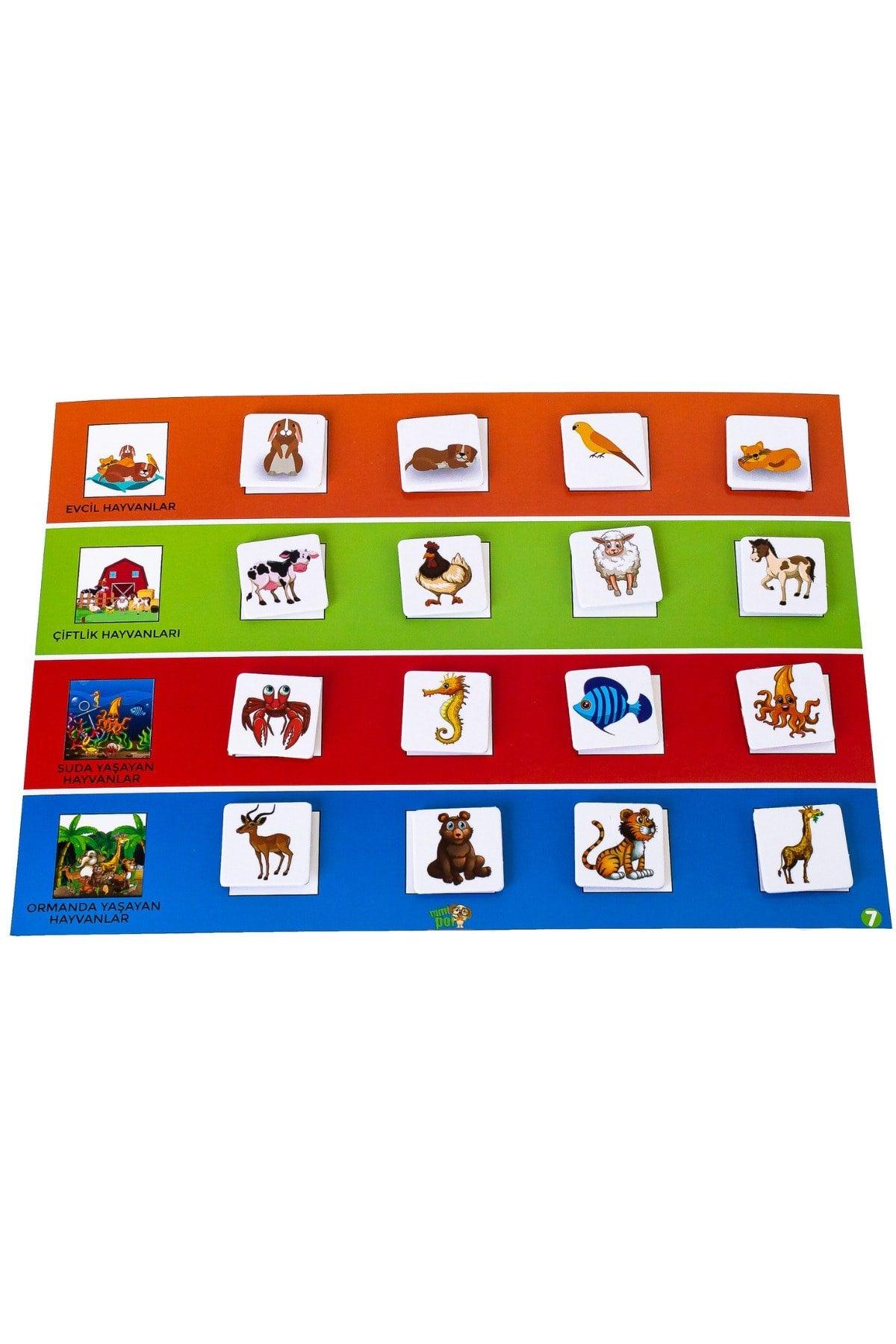 Preschool 3-6 Years Velcro Grouping Activities to Develop Speech and Attention Board Game - Swordslife