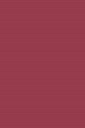 Prime'n Lips Lipstick Lipstick 17 Subdued Rosy