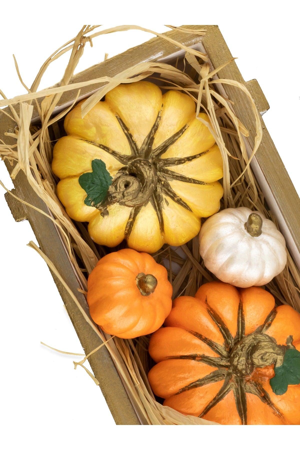 Pumpkin Decoration Set Pumpkin Set Including Concrete Case And Dry Plants - Swordslife