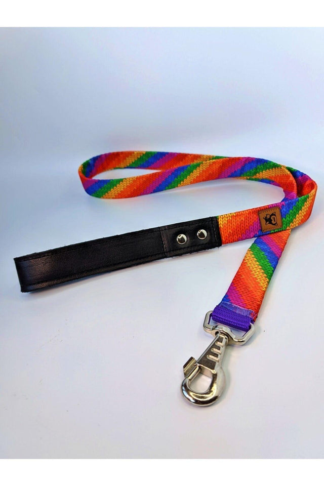 Rainbow Dog Extension Leash Leading Strap Grande