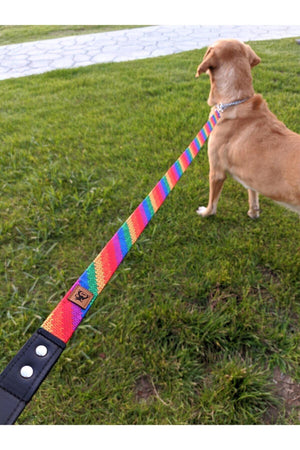 Rainbow Dog Extension Leash Leading Strap Grande