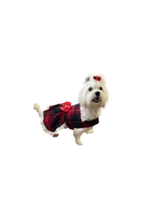 Red Blue Checked Bow Tie Female Cat Dog