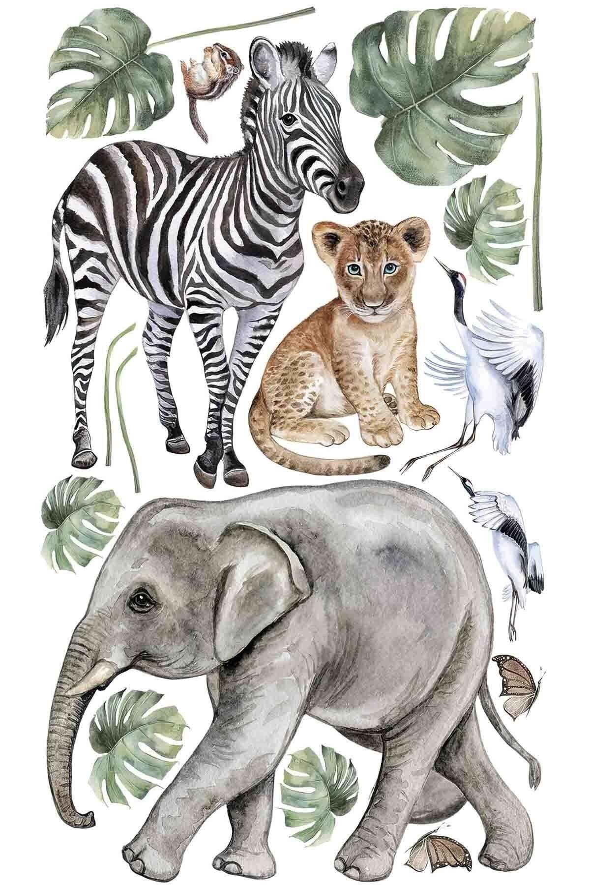 Safari Diary Gorgeous Animals Kids Room Wall Sticker Set - Swordslife