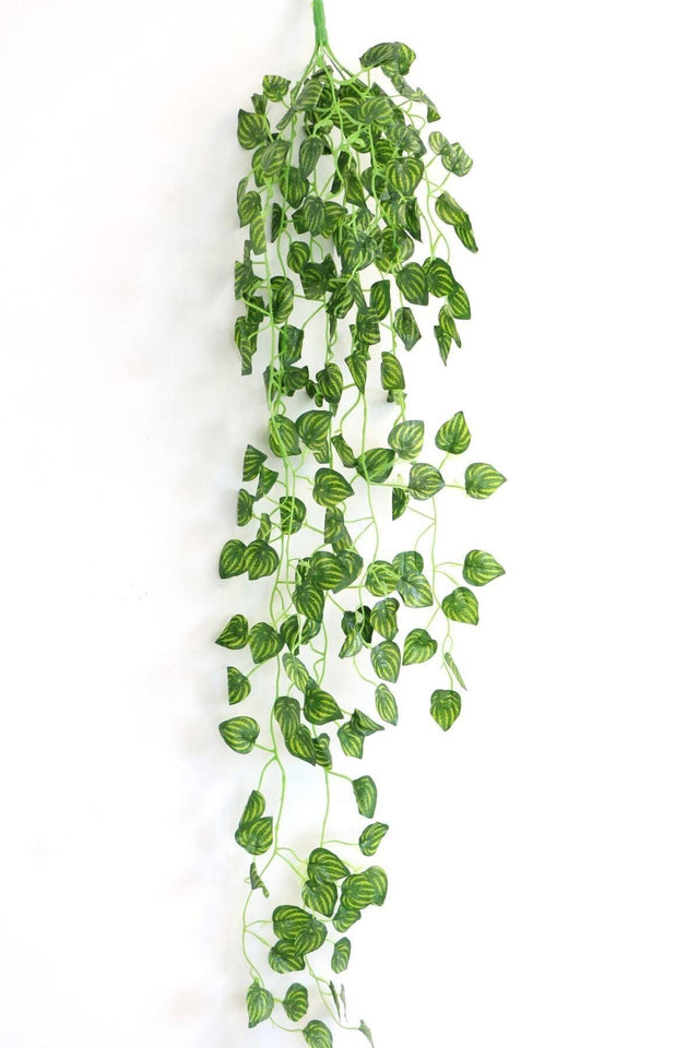 Hanging Artificial Ivy 9 Branch Striped Model 90 Cm - Swordslife