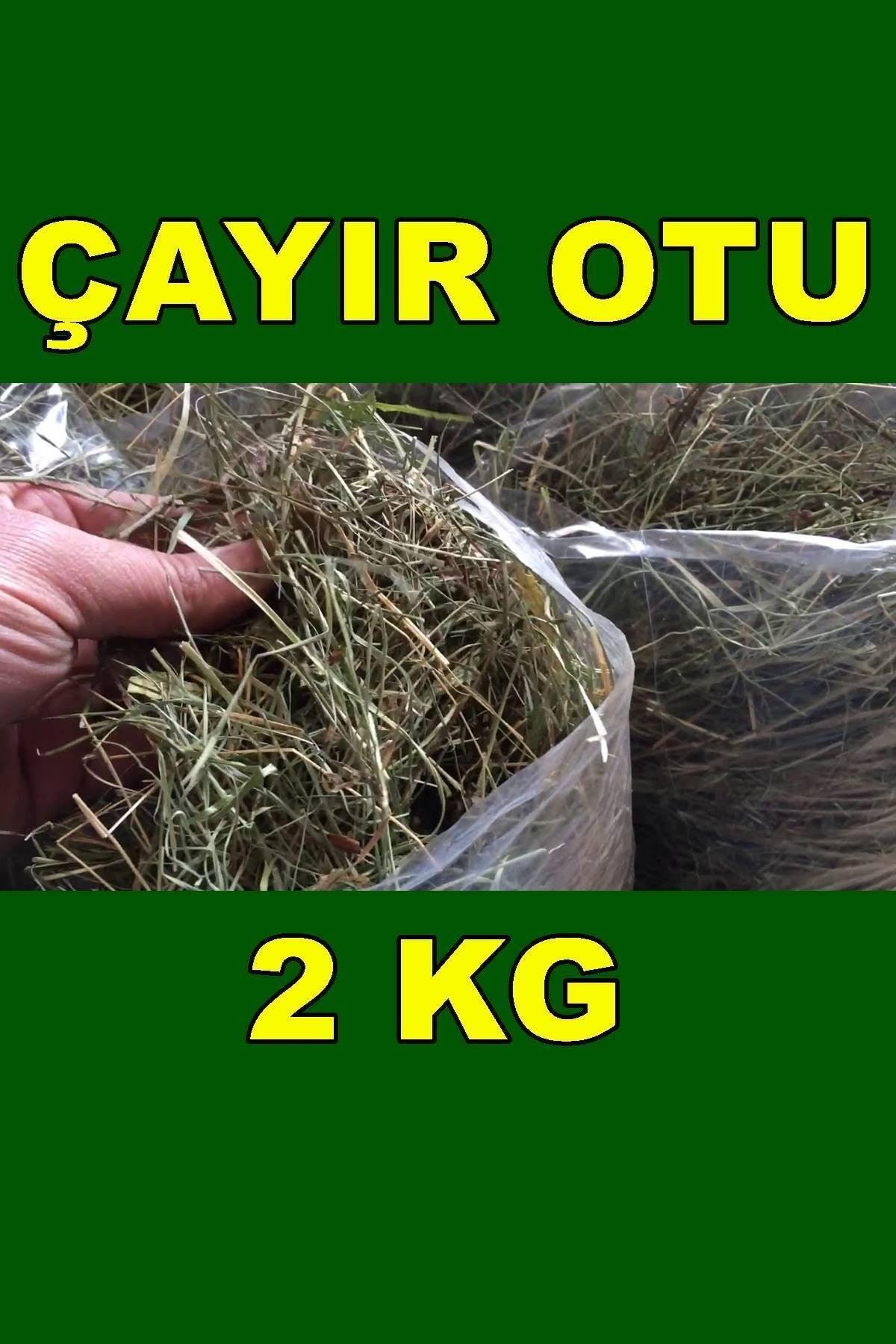 Sc Plus Trade Field Grass 2 Kg Rodent Grass