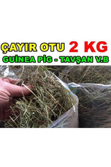 Sc Plus Trade Field Grass 2 Kg Rodent Grass