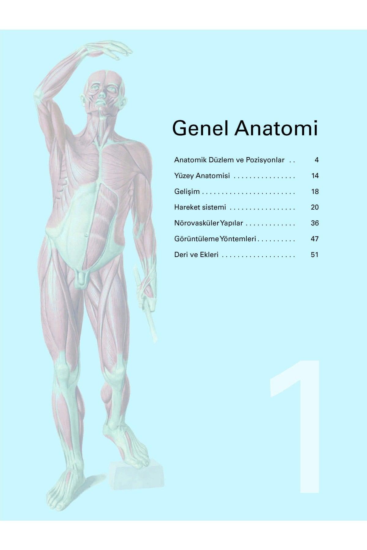 Sobotta, Atlas of Human Anatomy (4 Volumes) (From the 24th German Edition, 12th Latest Turkish Edition,) - Swordslife